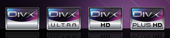 divx logo